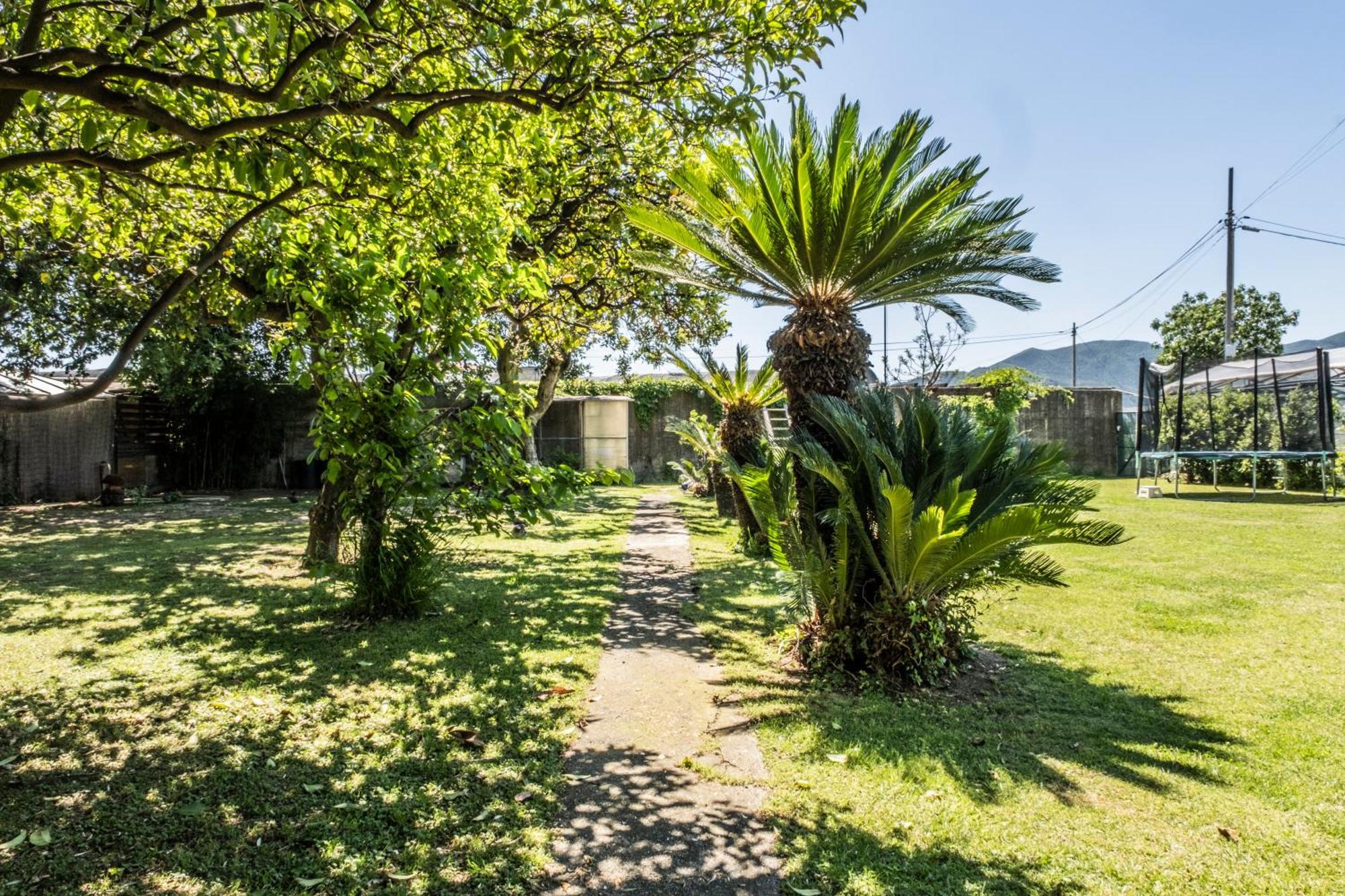 Agriturismo Giorgi Appartamenti In Riviera Ligure Albenga Exterior photo